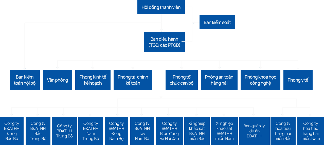 Organization Diagram